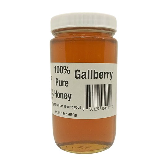 Gilley's 16oz Gallberry Honey