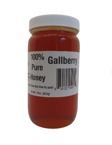 Gilley's 16oz Gallberry Honey