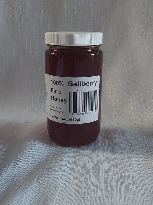 Gilley's 16oz Gallberry Honey
